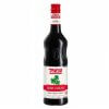TOSCHI Irish Cream Şurubu (1000 ml)